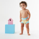 Splash About Happy Nappy Swim Nappy - Garden Birds - Clearance